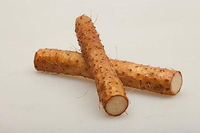 整合全球研发能力美国任天堂重组游戏测试业务